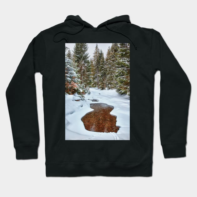 Mountain river in the winter Hoodie by naturalis